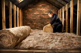 Best Eco-Friendly or Green Insulation Solutions  in Doa Ana, NM