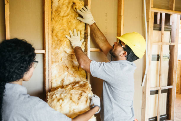 Best Wall Insulation Installation  in Doa Ana, NM